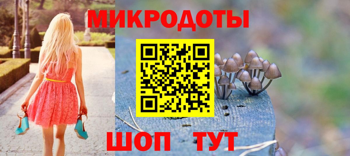 Псилоцибиновые грибы прущие грибы Кыштым