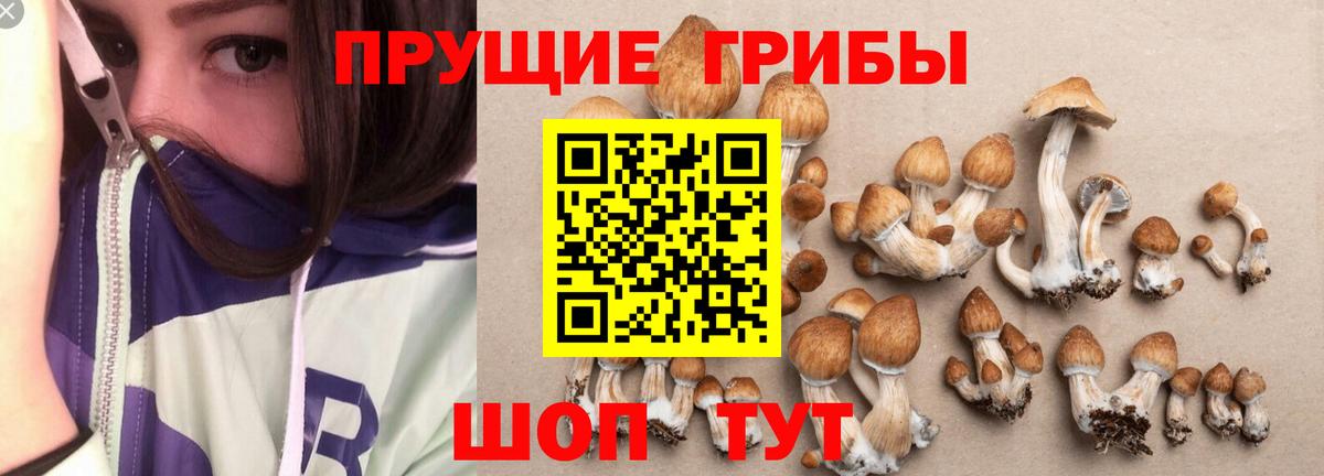 Кыштым  Галлюциногенные грибы Magic Shrooms  Вход с VPN 
